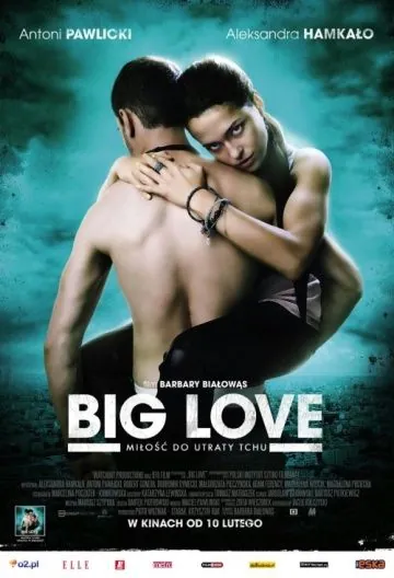Большая любовь / Big Love (2012) фильм скачать через торрет бесплатно в хорошем качестве