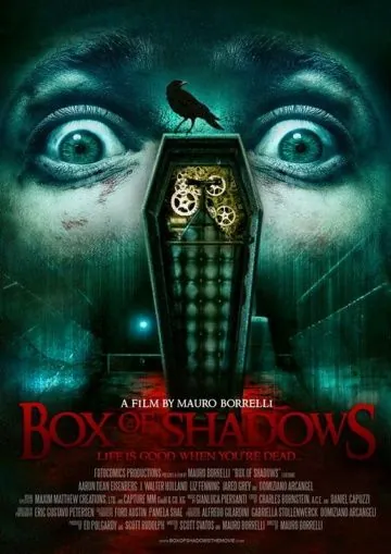 Коробка теней / Box of Shadows (2012) фильм скачать через торрет бесплатно в хорошем качестве