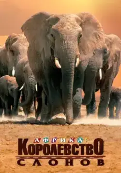 Африка – королевство слонов / Africa's Elephant Kingdom (1998) фильм скачать через торрет бесплатно в хорошем качестве