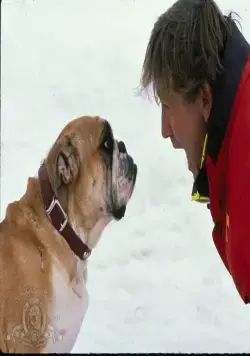 Лыжный патруль (1990) скачать торрент файл Лыжный патруль (1990) фильм скачать торрент файл