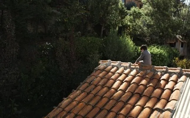 Южная зона (2009) скачать торрент файл Южная зона (2009) фильм скачать торрент файл