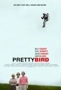 Пташка / Pretty Bird (2008) фильм скачать через торрет бесплатно в хорошем качестве