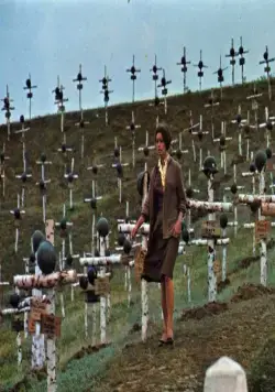 Подсолнухи (1970) скачать торрент бесплатно Подсолнухи (1970) фильм скачать торрент бесплатно