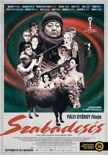 Свободное падение / Szabadesés (2014) фильм скачать через торрет бесплатно в хорошем качестве