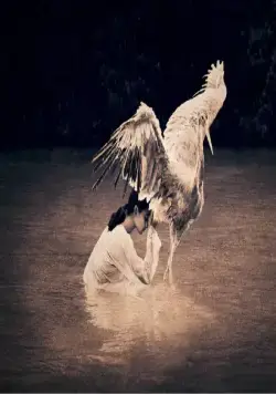 Пепел и снег (2005) в хорошем качестве скачать торрент файл Пепел и снег (2005) фильм в хорошем качестве скачать торрент файл