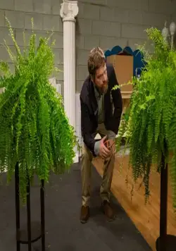 Между двумя папоротниками (2019) скачать торрент файл Между двумя папоротниками (2019) фильм скачать торрент файл