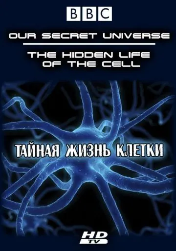 Внутренняя вселенная: Тайная жизнь клетки / Our Secret Universe: The Hidden Life of the Cell (2012) фильм скачать через торрет бесплатно в хорошем качестве