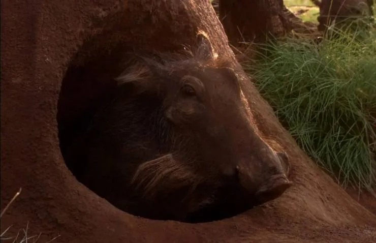 Белый лев (2010) скачать торрент бесплатно Белый лев (2010) фильм скачать торрент бесплатно