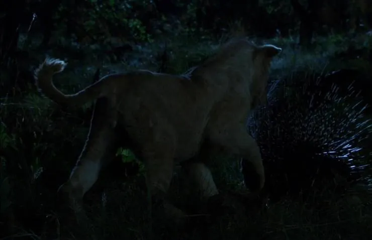 Белый лев (2010) скачать торрент файл Белый лев (2010) фильм скачать торрент файл