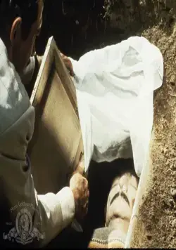 Принесите мне голову Альфредо Гарсиа (1974) скачать торрент бесплатно Принесите мне голову Альфредо Гарсиа (1974) фильм скачать торрент бесплатно