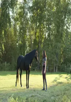 Флика 3 (2012) в хорошем качестве скачать торрент файл Флика 3 (2012) фильм в хорошем качестве скачать торрент файл