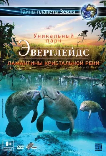 Эверглейдс 3D: Ламантины Кристальной реки / Adventure Everglades 3D: The Manatees of Crystal River (2012) фильм скачать через торрет бесплатно в хорошем качестве