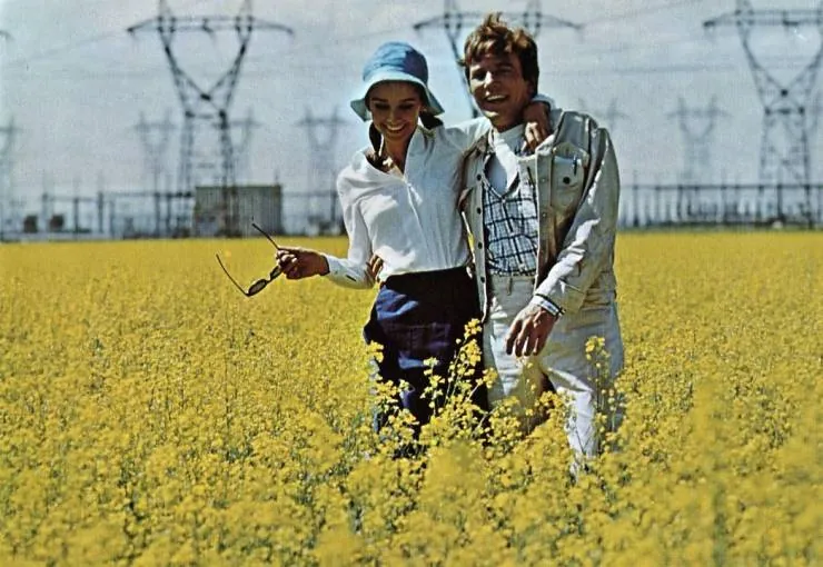 Двое в пути (1967) скачать торрент бесплатно Двое в пути (1967) фильм скачать торрент бесплатно