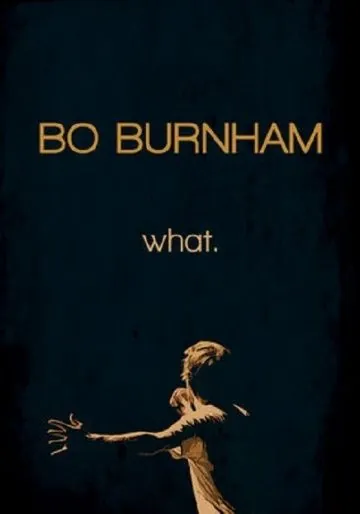 Бо Бёрнем: Что. / Bo Burnham: what. (2013) фильм скачать через торрет бесплатно в хорошем качестве