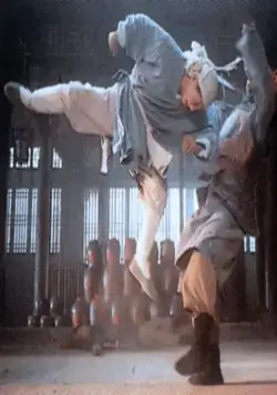 Два воина (1993) скачать торрент бесплатно Два воина (1993) фильм скачать торрент бесплатно