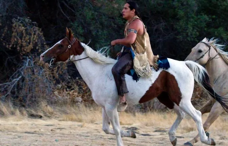 Золотая лихорадка (2011) скачать торрент файл Золотая лихорадка (2011) фильм скачать торрент файл