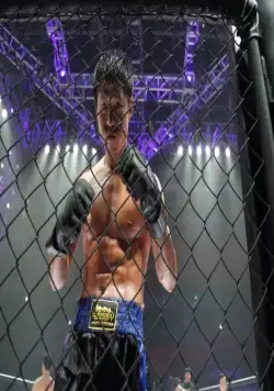 Кулак легенды (2012) скачать торрент бесплатно Кулак легенды (2012) фильм скачать торрент бесплатно