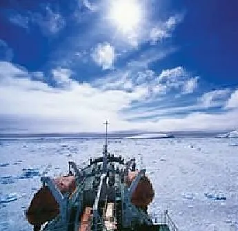 Встречи на краю света (2007) скачать торрент бесплатно Встречи на краю света (2007) фильм скачать торрент бесплатно