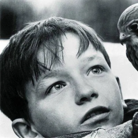 Кес (1969) в хорошем качестве скачать торрент файл Кес (1969) фильм в хорошем качестве скачать торрент файл