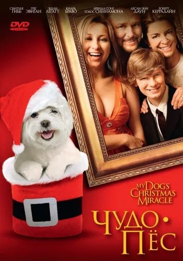 Чудо-пес / My Dog's Christmas Miracle (2011) фильм скачать через торрет бесплатно в хорошем качестве