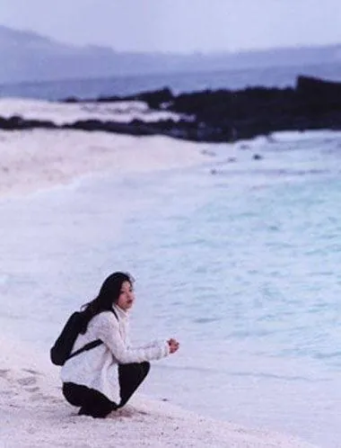 Домик у моря (2000) скачать торрент файл Домик у моря (2000) фильм скачать торрент файл