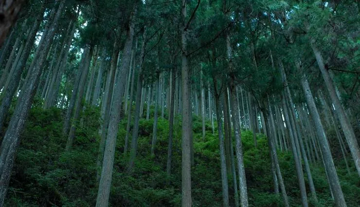 Видение (2018) скачать торрент бесплатно Видение (2018) фильм скачать торрент бесплатно