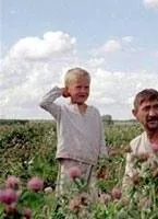 Время жатвы (2004) в хорошем качестве скачать торрент файл Время жатвы (2004) фильм в хорошем качестве скачать торрент файл