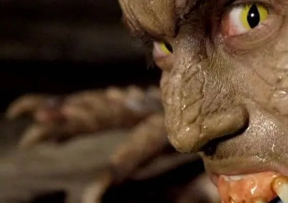 Земля аллигаторов (2013) скачать торрент бесплатно Земля аллигаторов (2013) фильм скачать торрент бесплатно