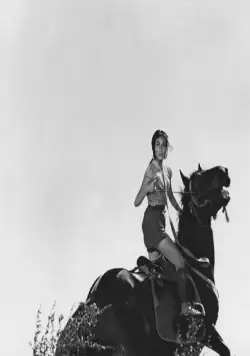 Трое негодяев в скрытой крепости (1958) скачать торрент файл Трое негодяев в скрытой крепости (1958) фильм скачать торрент файл