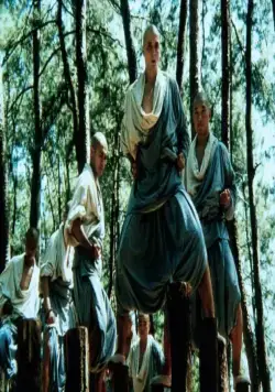 Американский Шаолинь (1991) скачать торрент бесплатно Американский Шаолинь (1991) фильм скачать торрент бесплатно