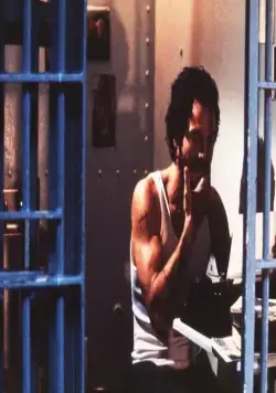 Пинеро (2001) скачать торрент бесплатно Пинеро (2001) фильм скачать торрент бесплатно