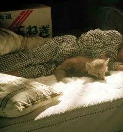 Лисичка Хэлен (2006) скачать торрент бесплатно Лисичка Хэлен (2006) фильм скачать торрент бесплатно