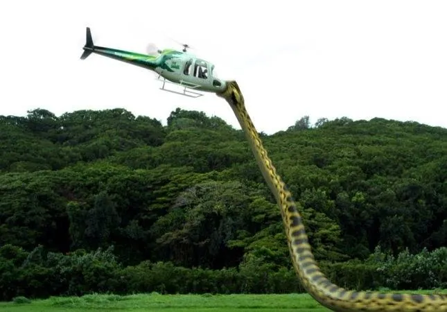 Пираньяконда (2012) в хорошем качестве скачать торрент файл Пираньяконда (2012) фильм в хорошем качестве скачать торрент файл