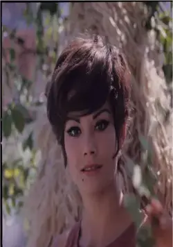 Операция «Святой Януарий» (1966) в хорошем качестве скачать торрент файл Операция «Святой Януарий» (1966) фильм в хорошем качестве скачать торрент файл