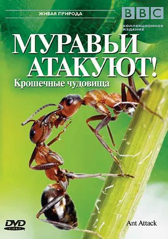 BBC: Муравьи атакуют / Ant Attack (2006) фильм скачать через торрет бесплатно в хорошем качестве