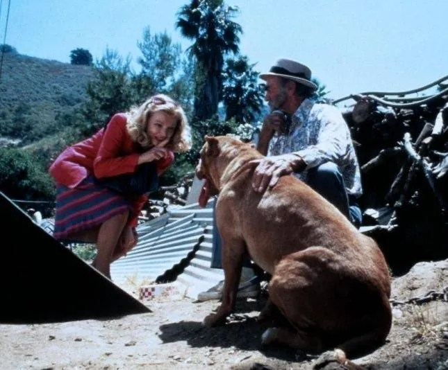 Потоки любви (1984) скачать торрент бесплатно Потоки любви (1984) фильм скачать торрент бесплатно