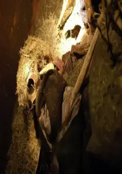 И пришел он (2006) скачать торрент бесплатно И пришел он (2006) фильм скачать торрент бесплатно