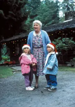 Прячься, бабушка! Мы едем (1992) в хорошем качестве скачать торрент файл Прячься, бабушка! Мы едем (1992) фильм в хорошем качестве скачать торрент файл