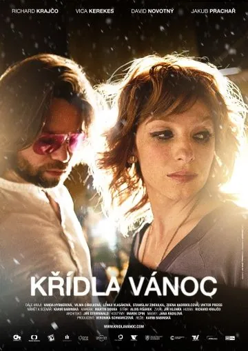 Крылатое Рождество / Krídla Vánoc (2013) фильм скачать через торрет бесплатно в хорошем качестве