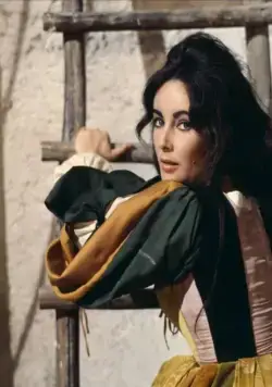 Укрощение строптивой (1967) скачать торрент бесплатно Укрощение строптивой (1967) фильм скачать торрент бесплатно