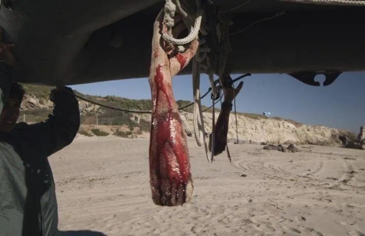 Песчаные акулы (2012) в хорошем качестве скачать торрент файл Песчаные акулы (2012) фильм в хорошем качестве скачать торрент файл