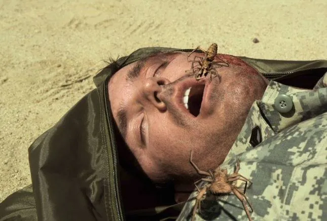 Верблюжьи пауки (2011) в хорошем качестве скачать торрент файл Верблюжьи пауки (2011) фильм в хорошем качестве скачать торрент файл