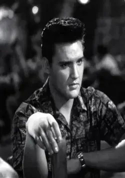 Голубые Гавайи (1961) в хорошем качестве скачать торрент файл Голубые Гавайи (1961) фильм в хорошем качестве скачать торрент файл