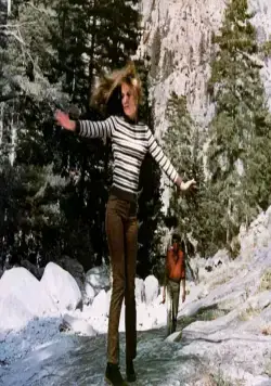 Закон выжившего (1967) в хорошем качестве скачать торрент файл Закон выжившего (1967) фильм в хорошем качестве скачать торрент файл