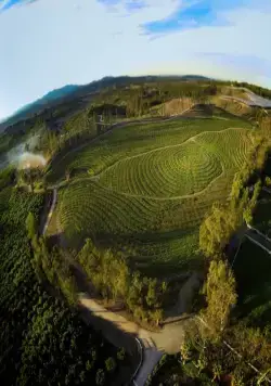 Самая большая маленькая ферма (2018) скачать торрент бесплатно Самая большая маленькая ферма (2018) фильм скачать торрент бесплатно