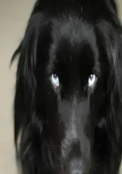 Самая большая маленькая ферма (2018) скачать торрент файл Самая большая маленькая ферма (2018) фильм скачать торрент файл