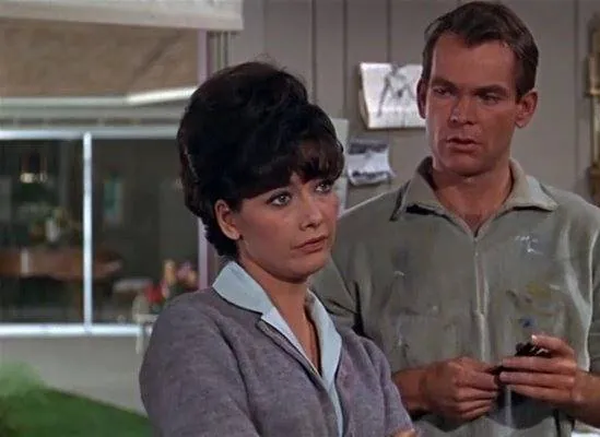 Гадкая такса (1966) скачать торрент файл Гадкая такса (1966) фильм скачать торрент файл