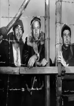 Лагерь для военнопленных №17 (1953) скачать торрент файл Лагерь для военнопленных №17 (1953) фильм скачать торрент файл