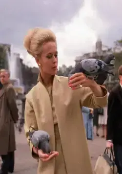 Птицы (1963) скачать торрент бесплатно Птицы (1963) фильм скачать торрент бесплатно