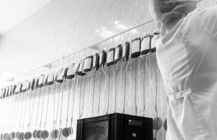 Кровь (2013) скачать торрент файл Кровь (2013) фильм скачать торрент файл